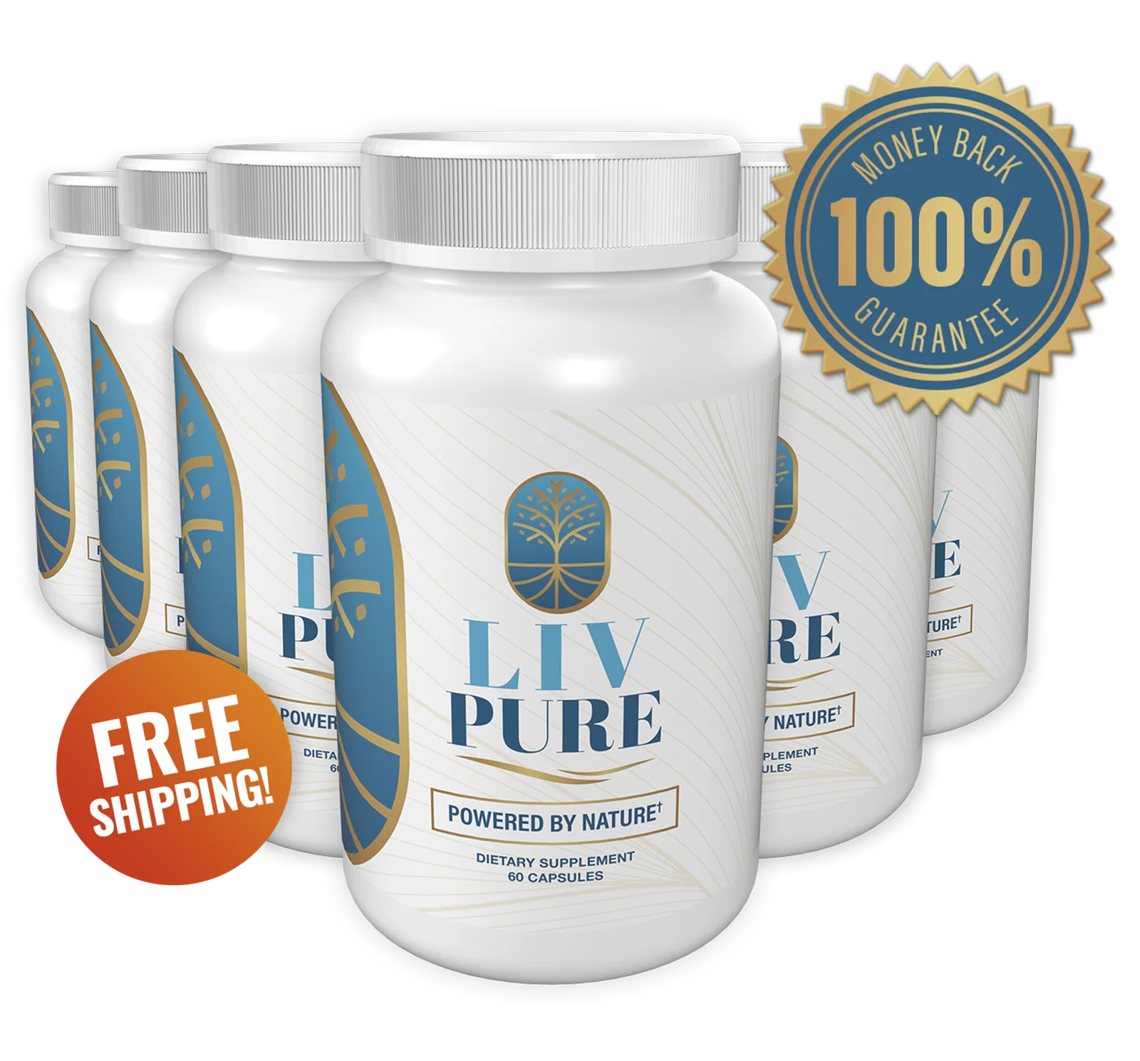 Liv Pure 6 Bottles